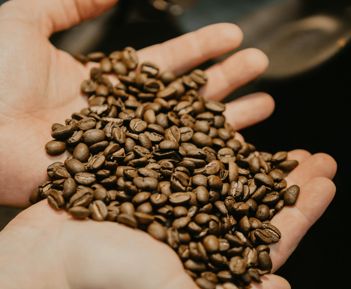 Alles, was Du übers Kaffeerösten wissen musst - Barista Royal GmbH