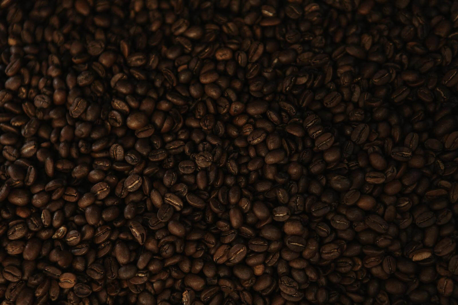 Die Haltbarkeit von Kaffee: Wann und warum wird Kaffee schlecht?