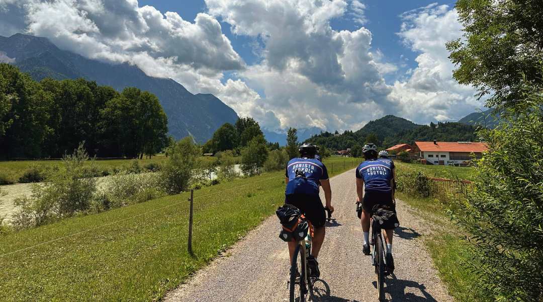 barista royal radtricot