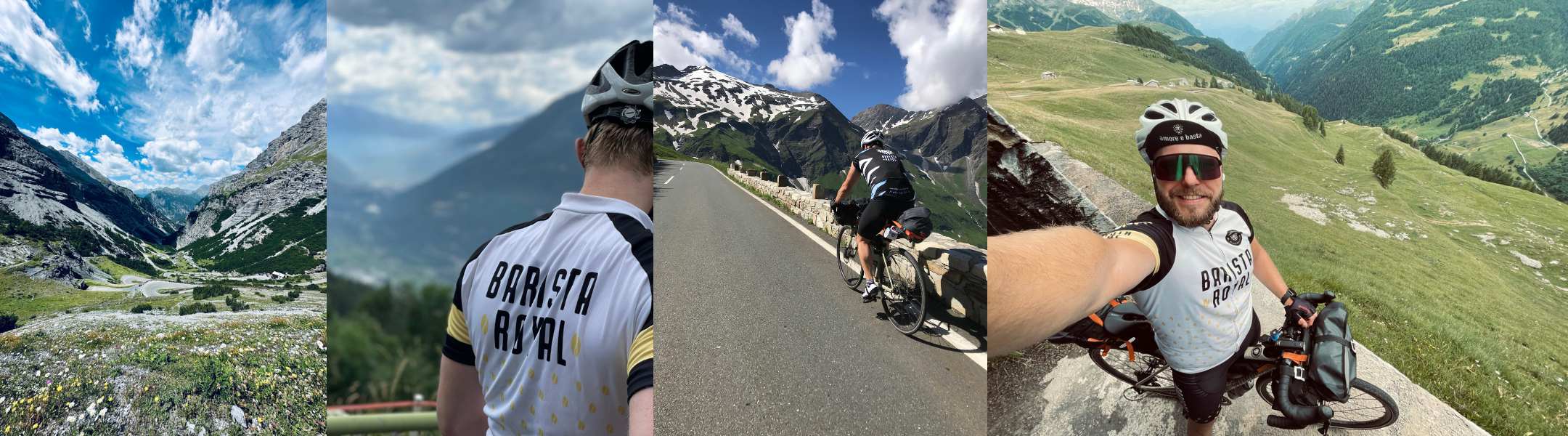 barista royal radtricot