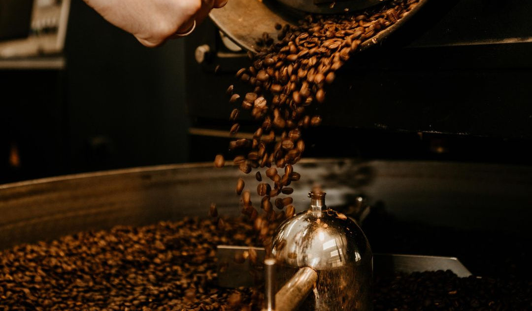 Barista Royal Rösterei Mitarbeiter