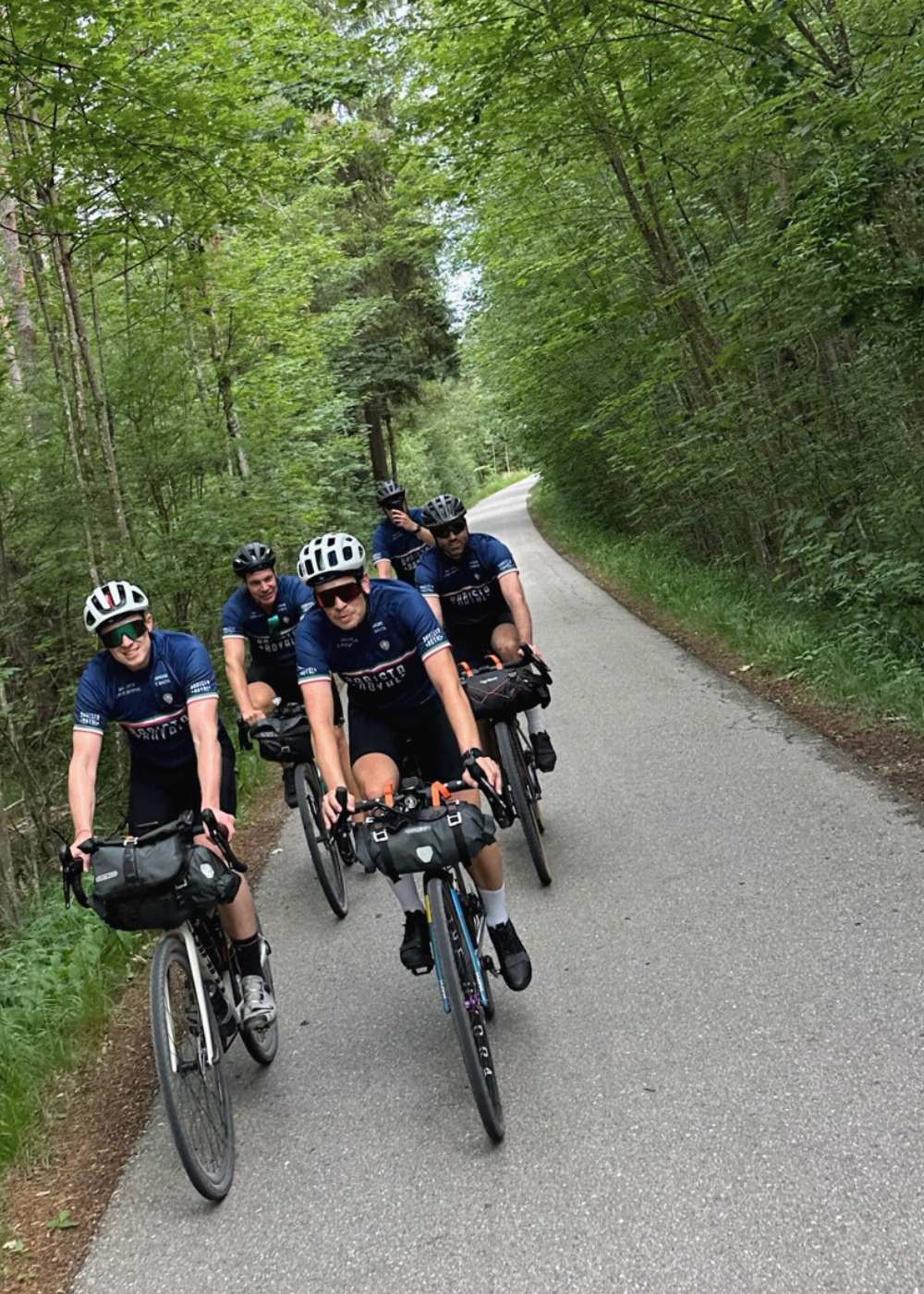 barista royal radtricot