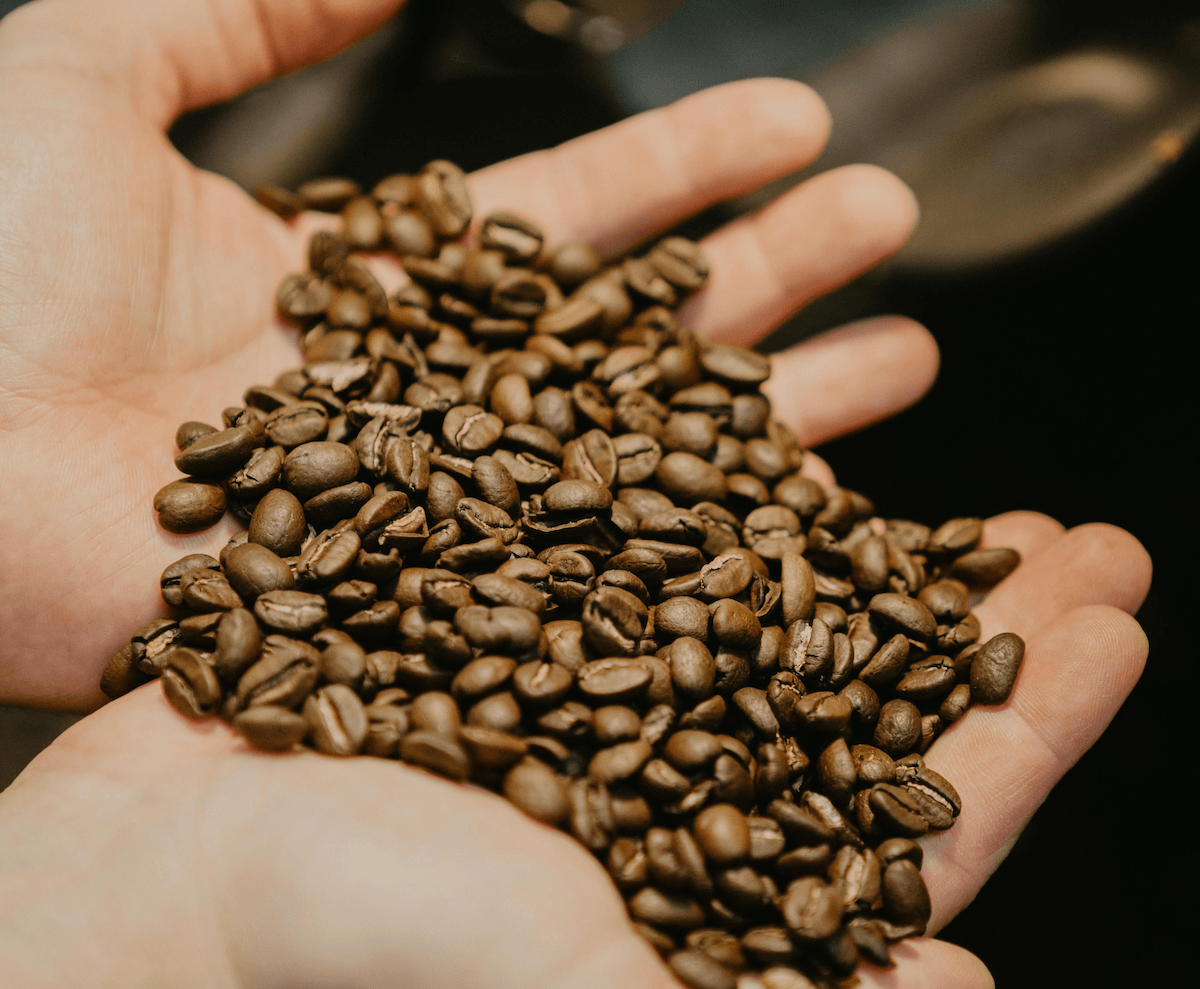 Alles, was Du übers Kaffeerösten wissen musst | Barista Royal GmbH