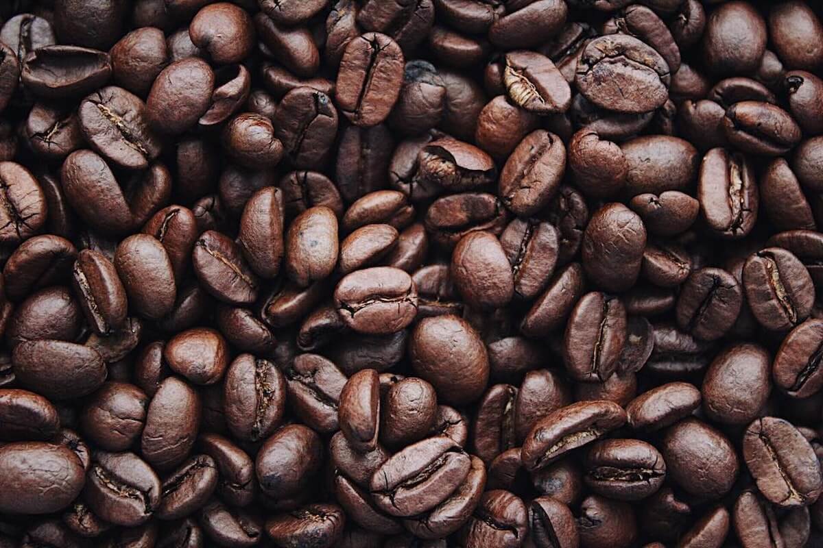Der Unterschied zwischen Arabica und Robusta - zwei Kaffeesorten im Vergleich - Barista Royal GmbH