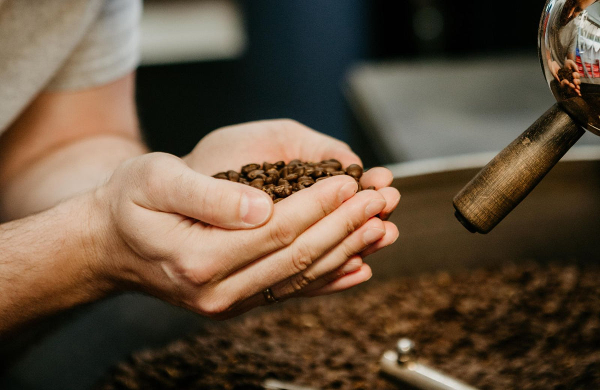 Kaffeeebohnen
