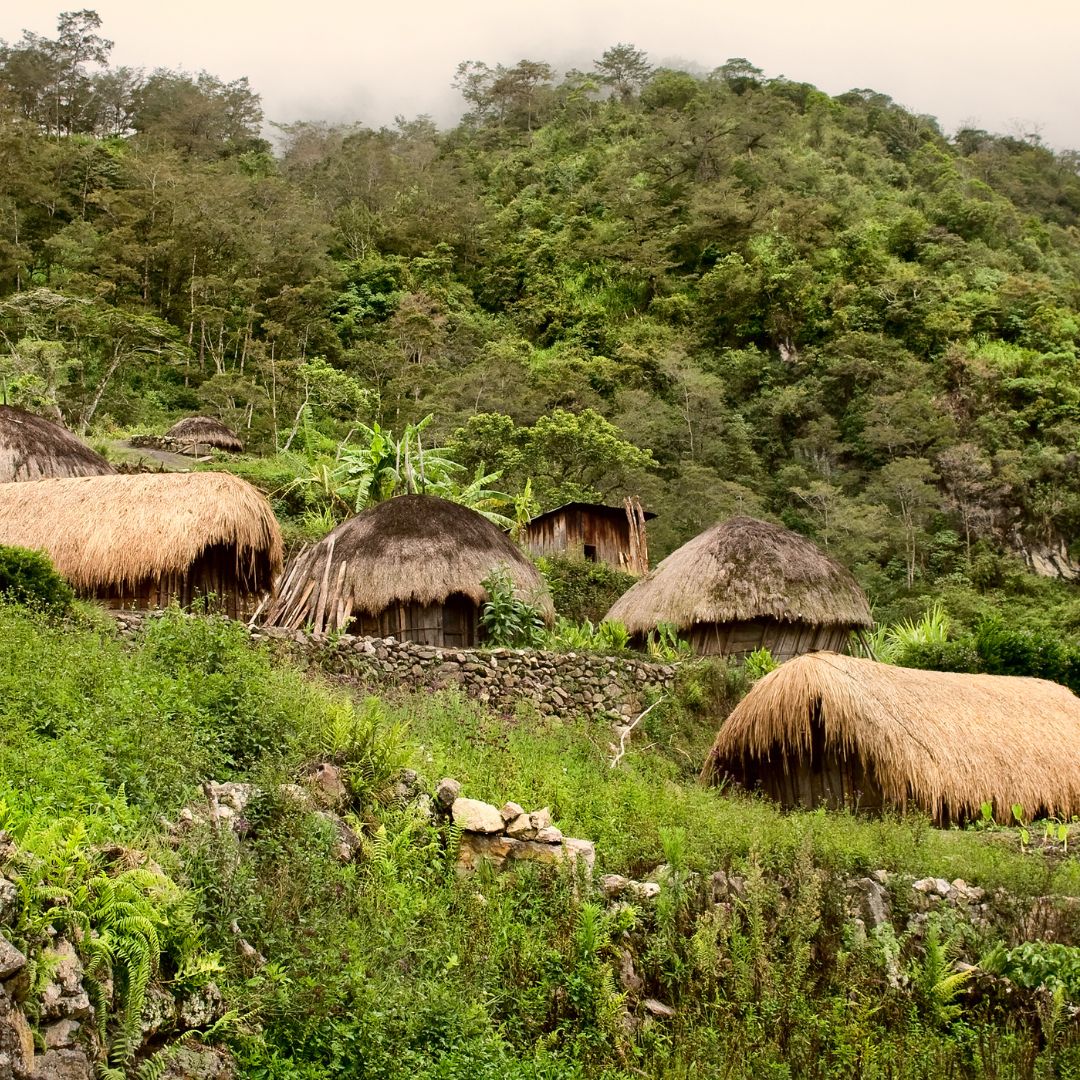 Kaffeekultur Papua Neuguinea